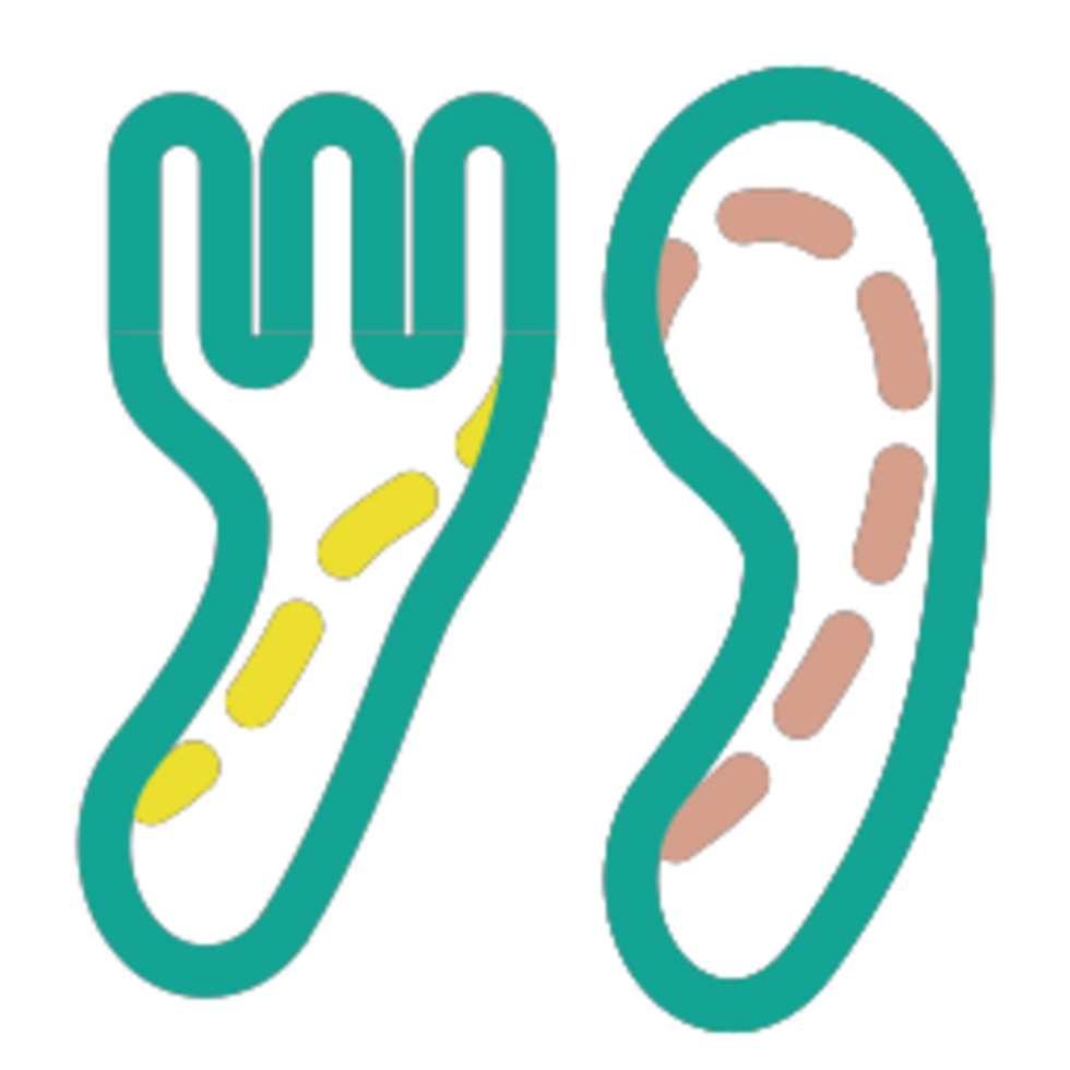 tableware illustration design png