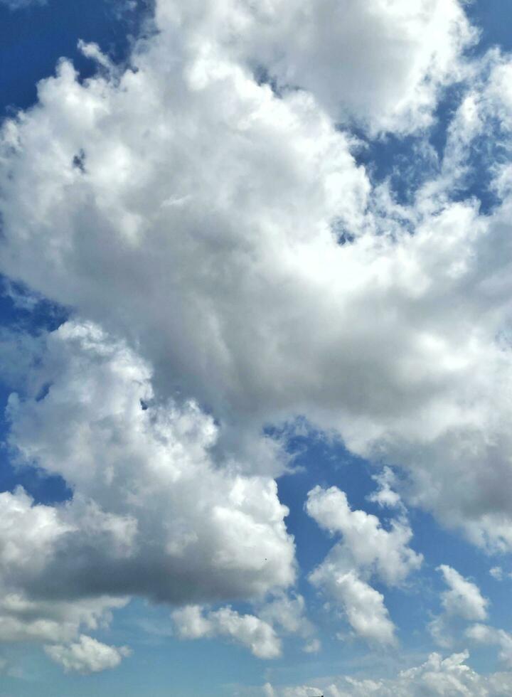 Vertical sky background with flufy cloud photo