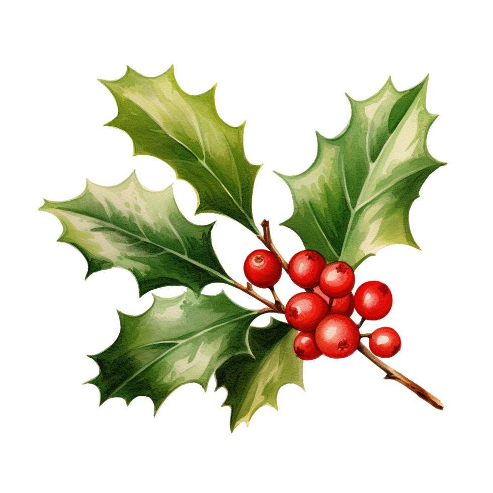 Holly Berries For Christmas Event. Watercolor Style. AI Generated png