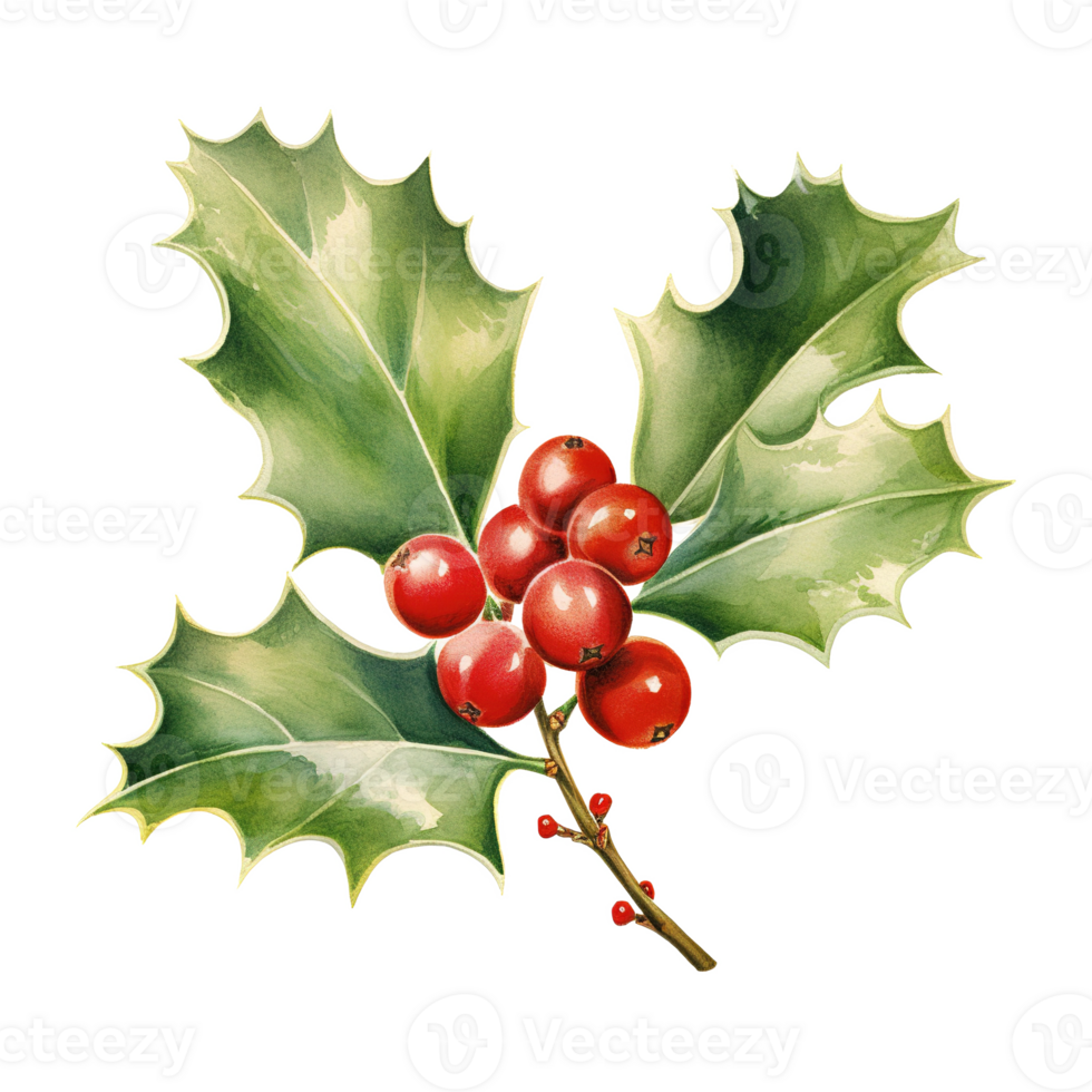 Holly Berries For Christmas Event. Watercolor Style. AI Generated png