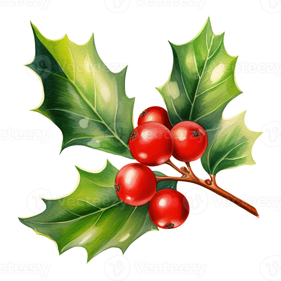 Holly Berries For Christmas Event. Watercolor Style. AI Generated png