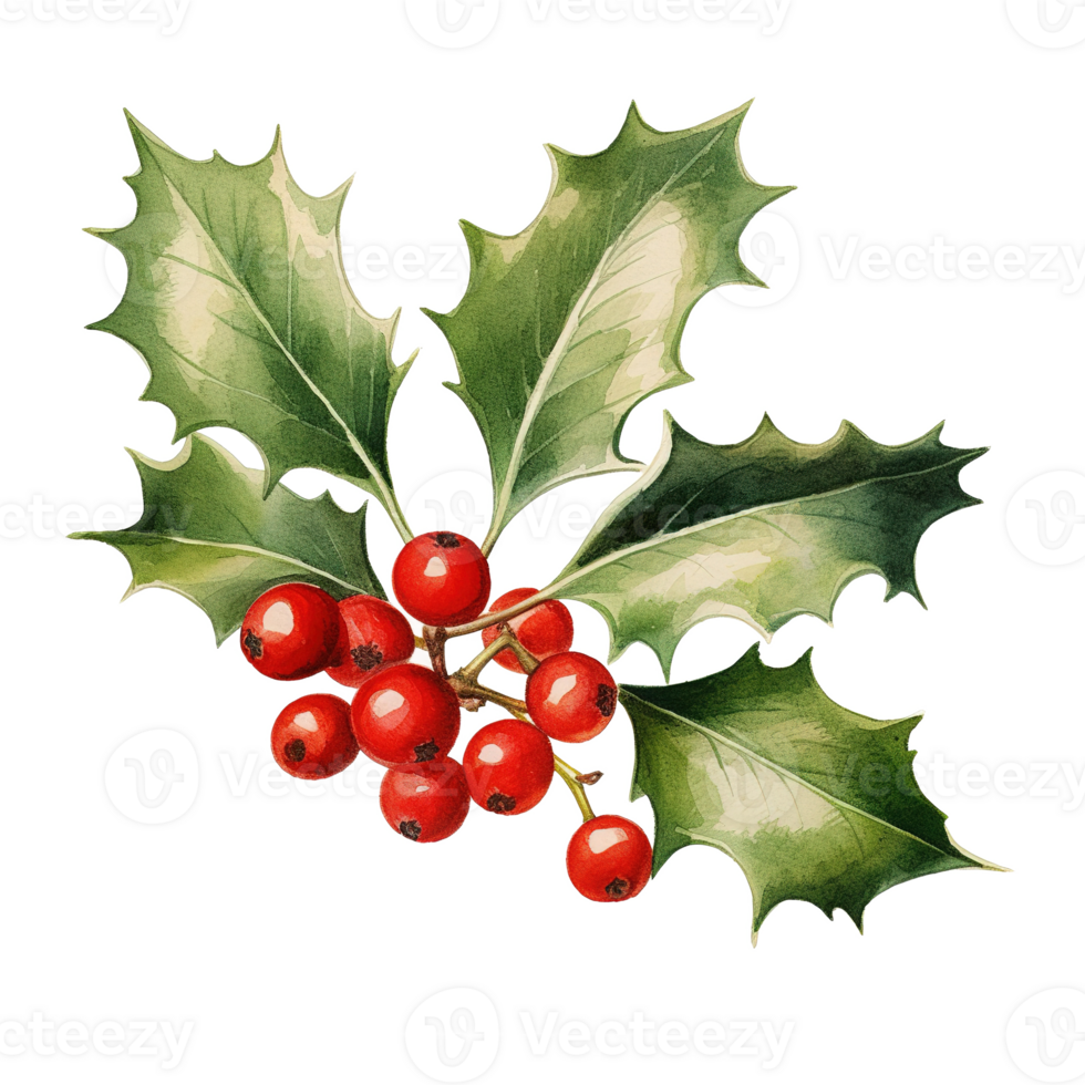 Holly Berries For Christmas Event. Watercolor Style. AI Generated png