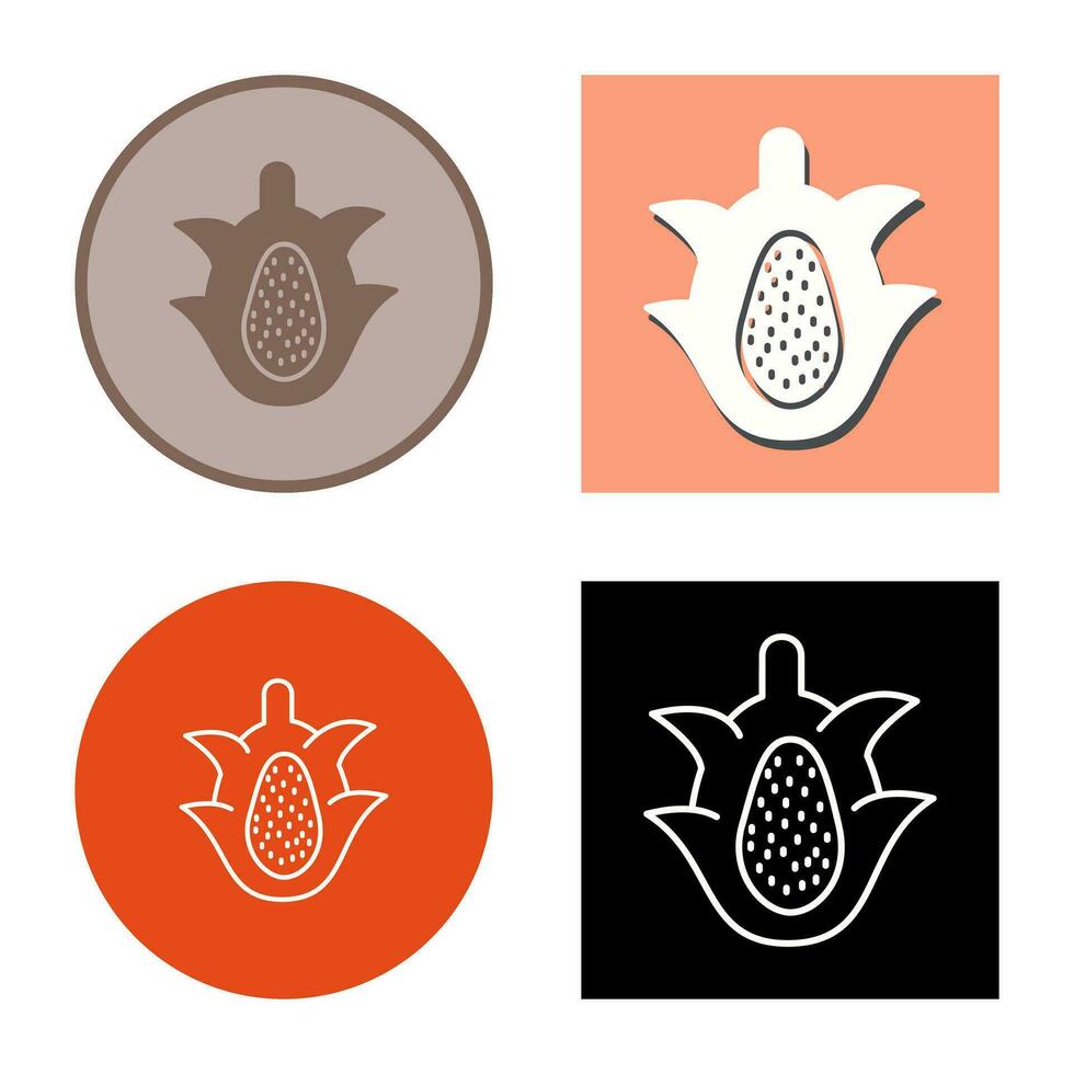 Dragon Fruit Vector Icon