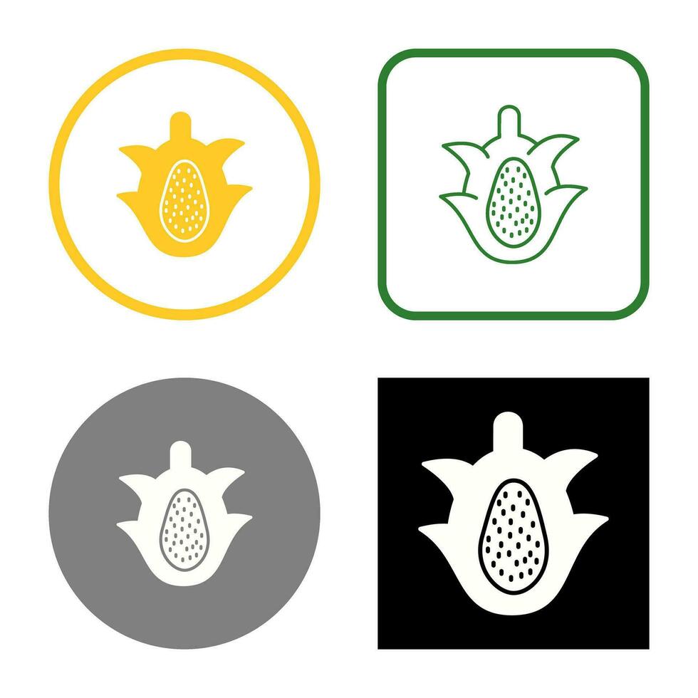 Dragon Fruit Vector Icon