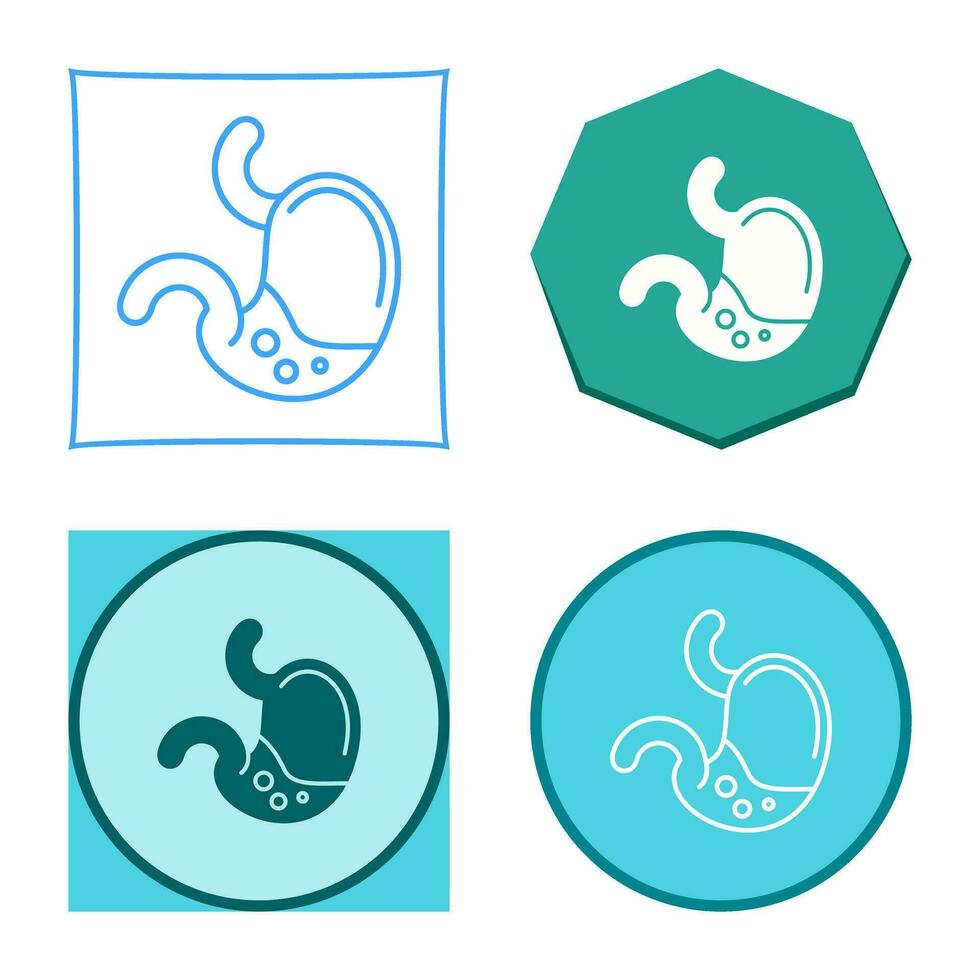 Stomach Vector Icon