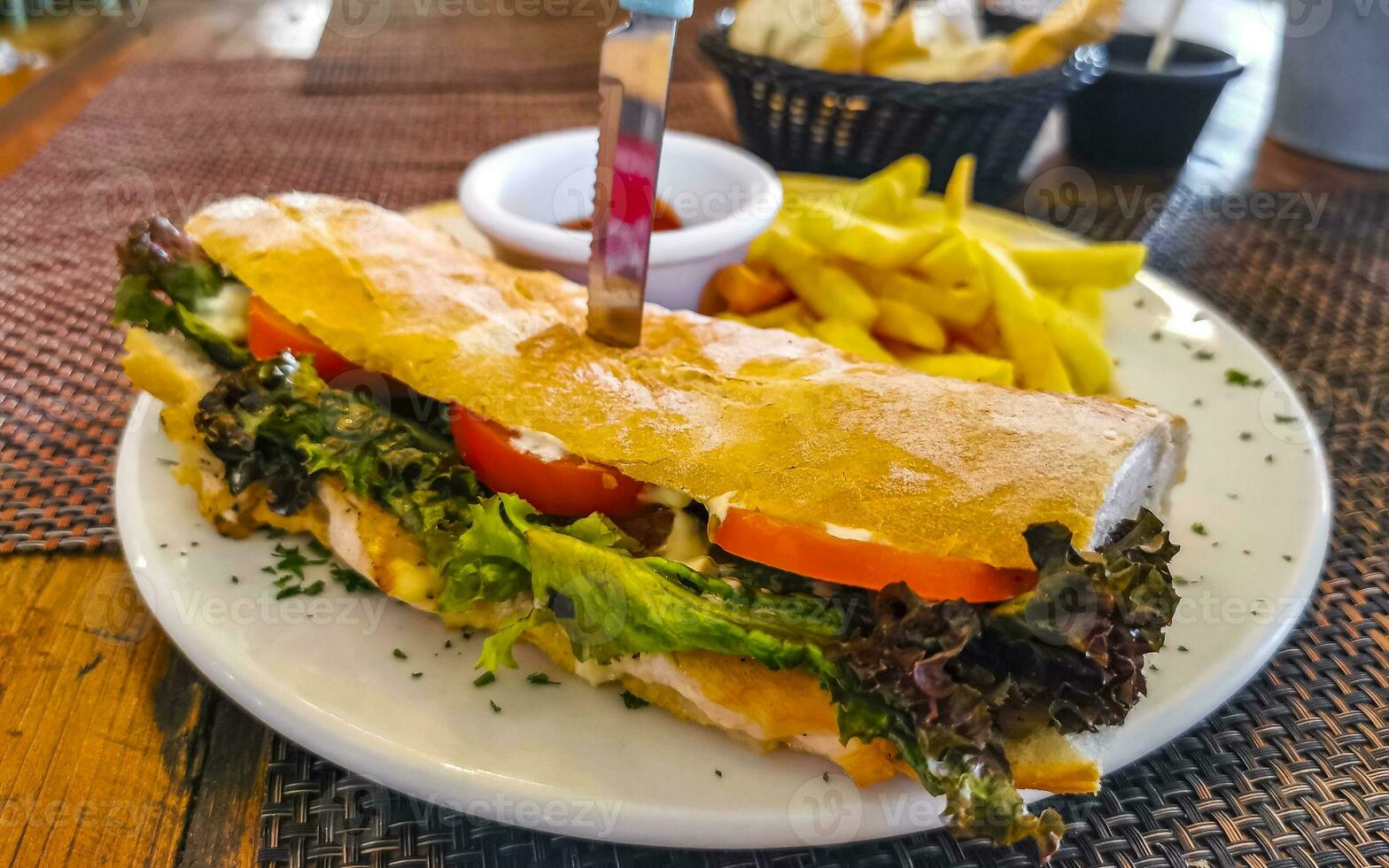 Baguette sandwich toast bread with chicken tomato salad potatoes fries. photo