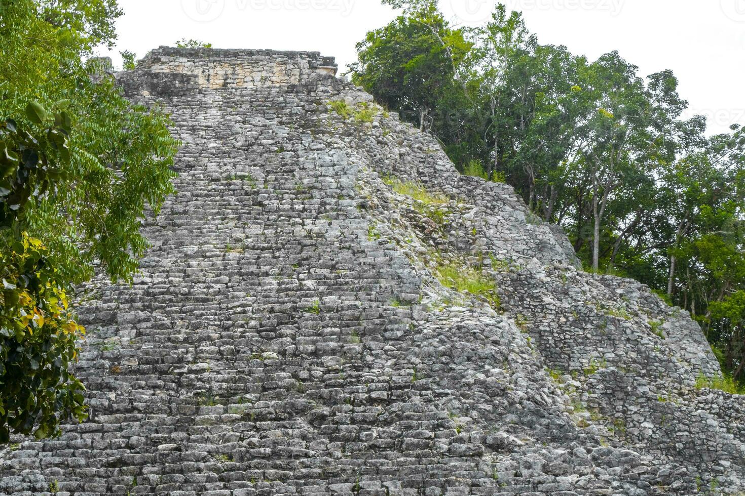 Coba Maya Ruins Nohoch Mul pyramid in tropical jungle Mexico. photo