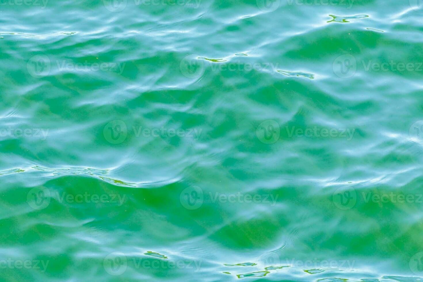 el agua es verde y tiene ondas foto