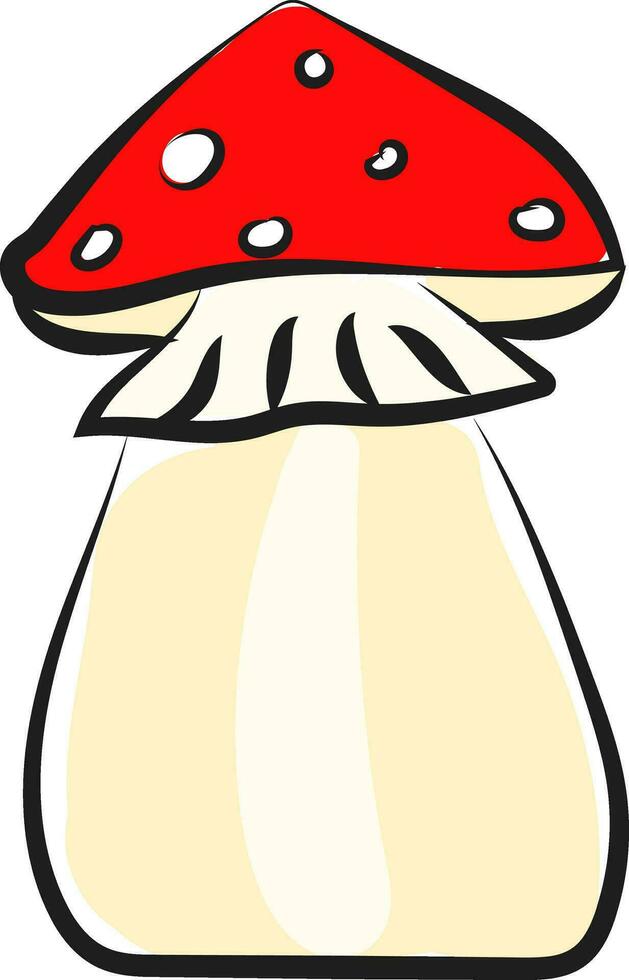 Clipart of an ammoniteAmanita caesarea vector or color illustration