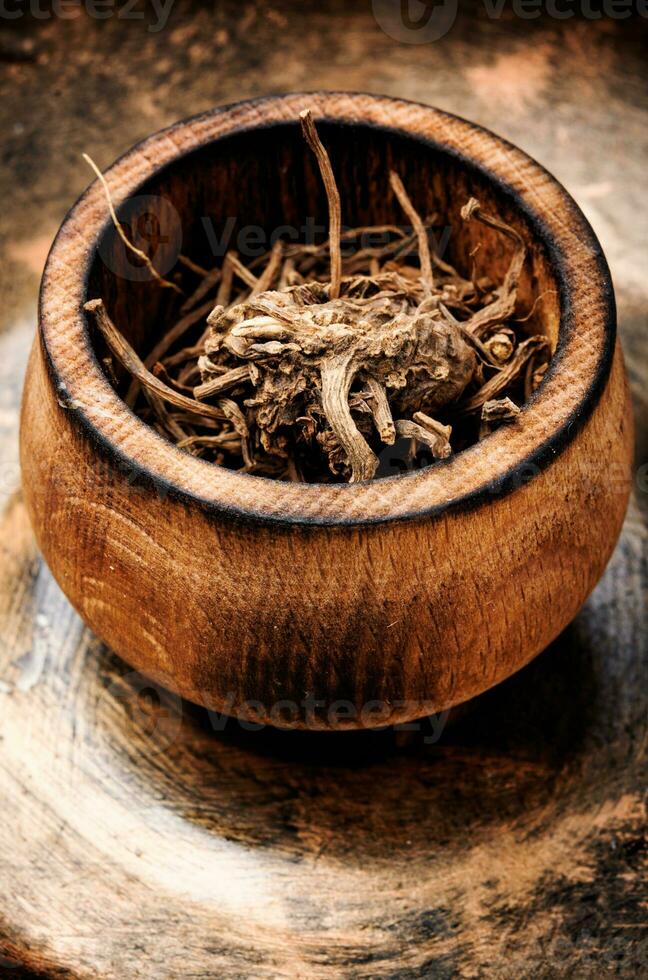 Dried Valerian roots photo