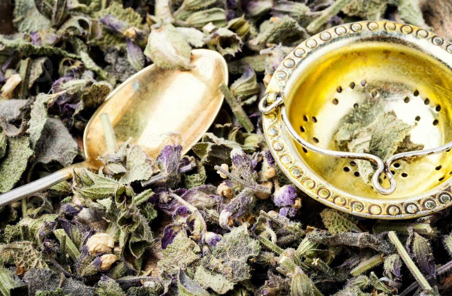 Natural medicine and herbs photo
