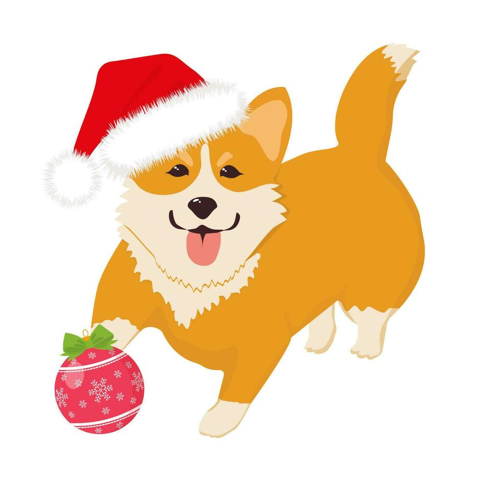 Cute corgi puppy in Santa Claus hat With Christmas tree toy and serpentine. Vector illustration.