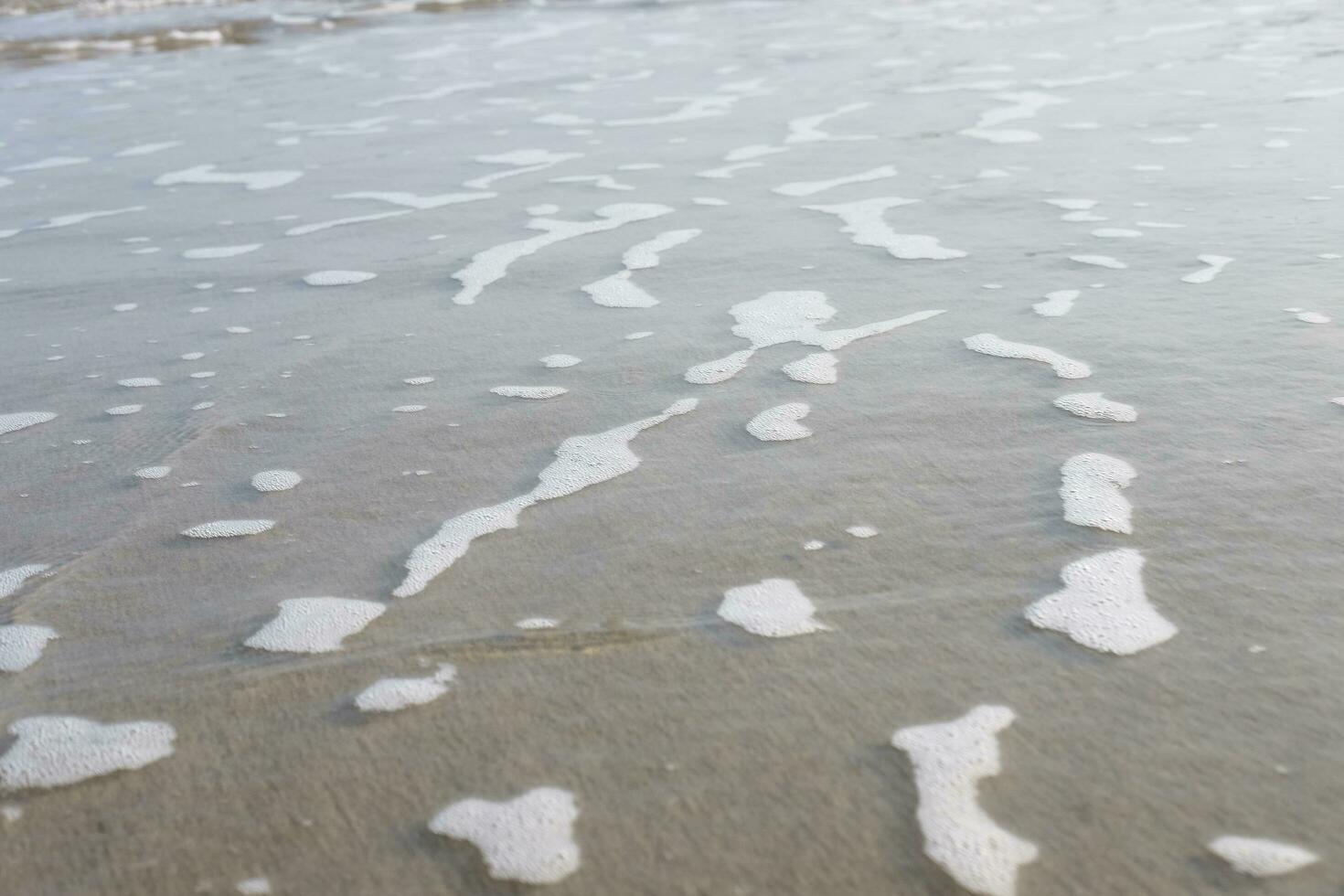 Sponge on sand and beach with sunlight and sunset in the sea of Thailand. Nature in summer and hopeful in life for vacation and holiday concept photo