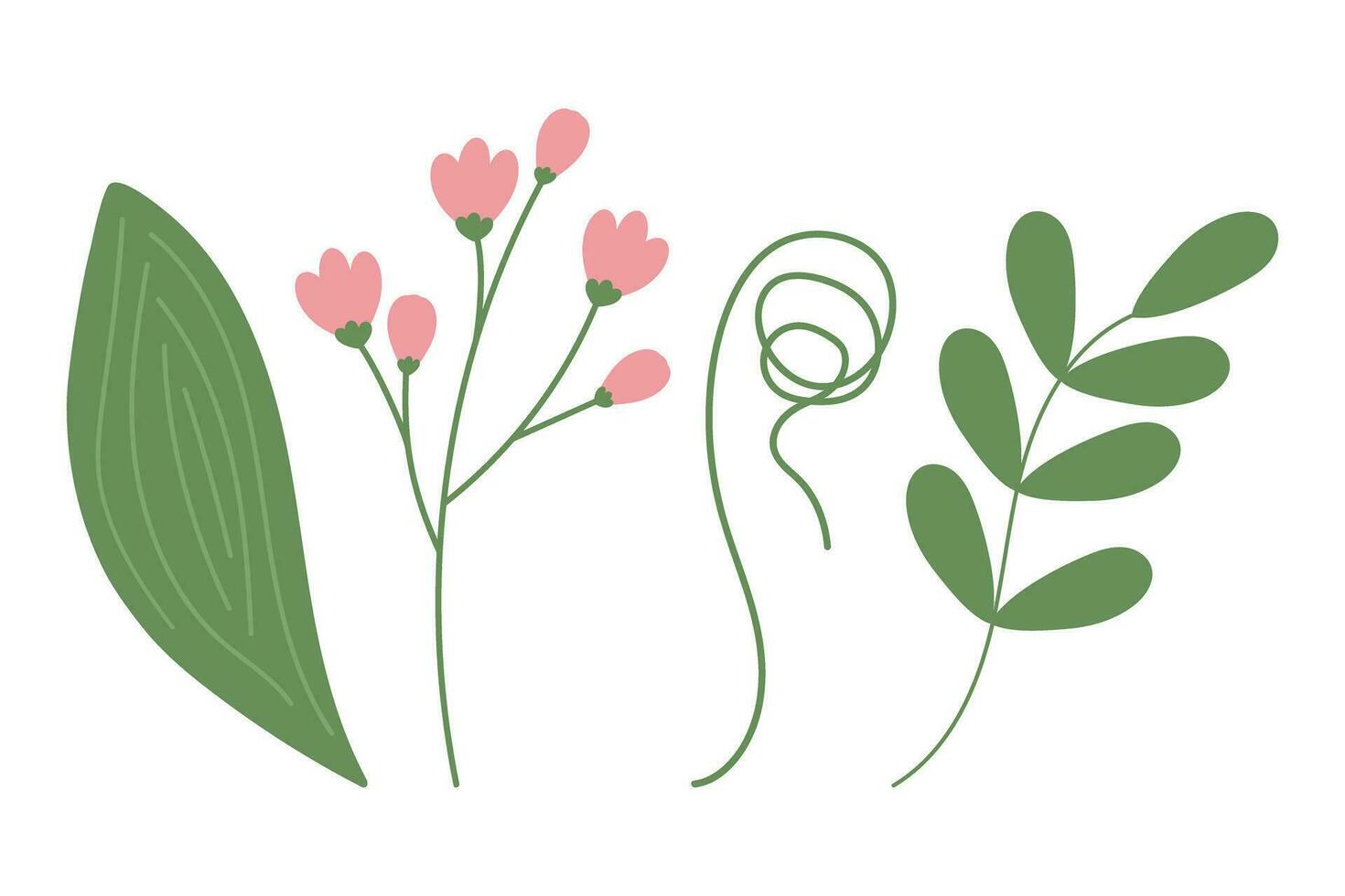 Set of 4 botanical design elements with spathiphyllum leaf, blossom and curled twigs and acacia leaf vector