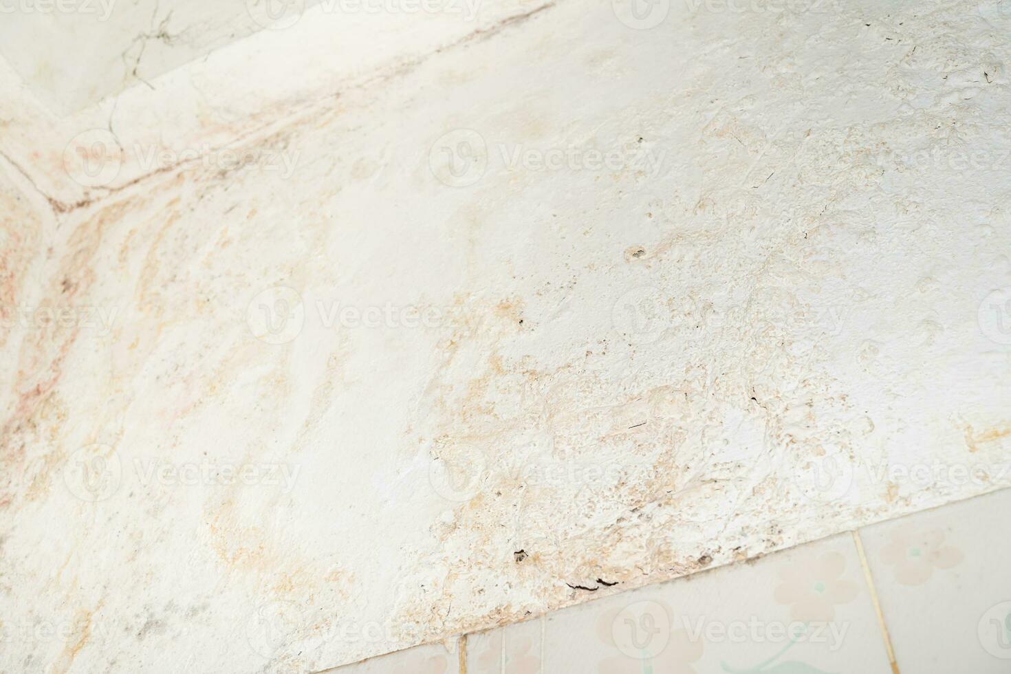 Toxic mold growth. Damp water damaged building. mold in the corner of your bathroom. Water damage building interior. photo