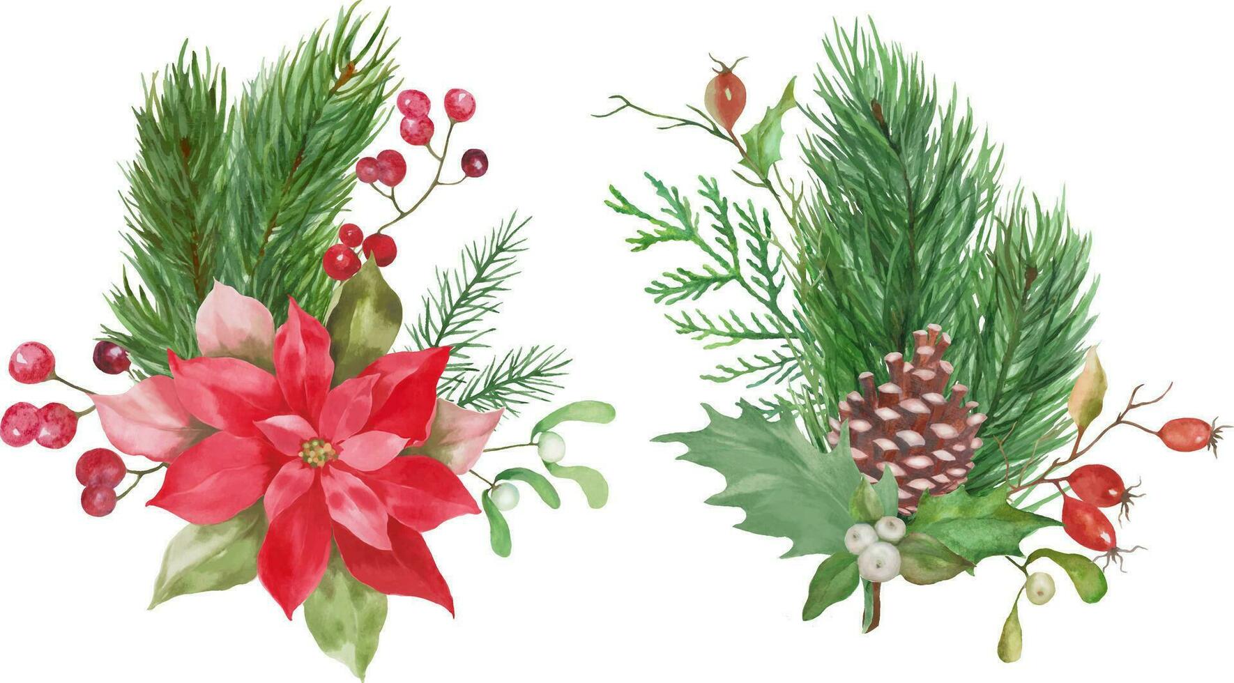 acuarela Navidad floral colocar. mano dibujado ilustración aislado en blanco antecedentes. vector