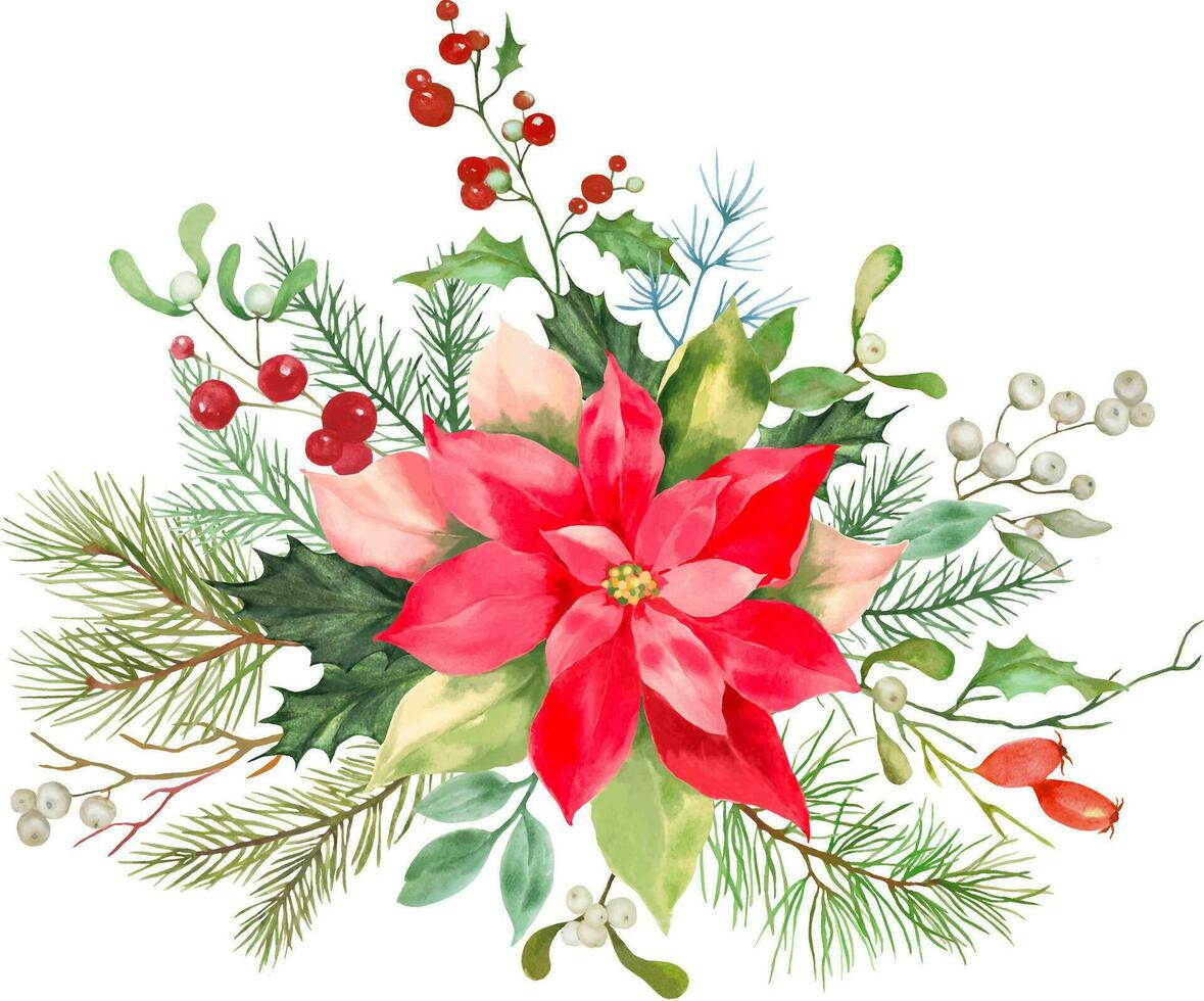 Watercolor Christmas floral set. Hand drawn illustration isolated on white background. vector