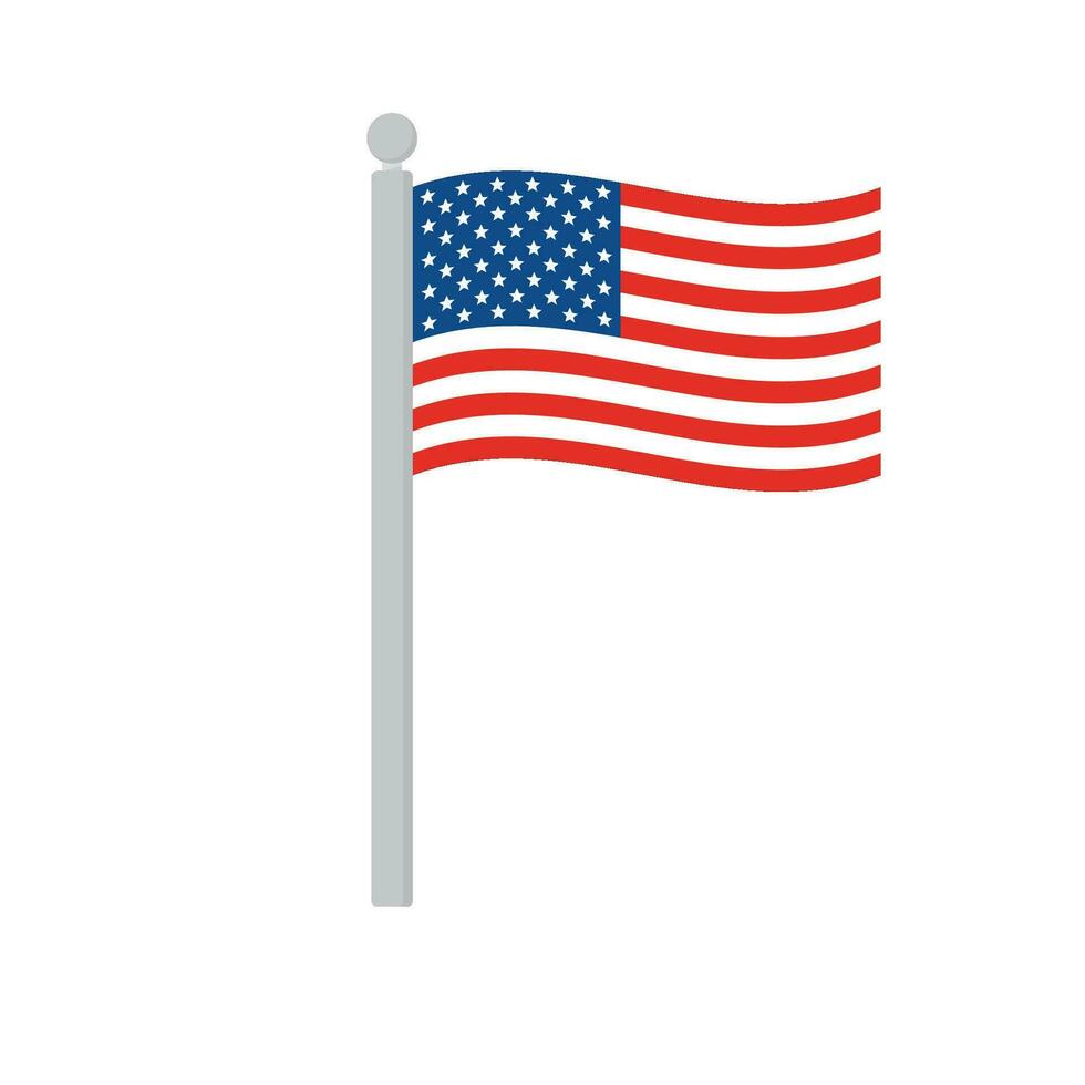 America flag. Flag of America isolated. vector
