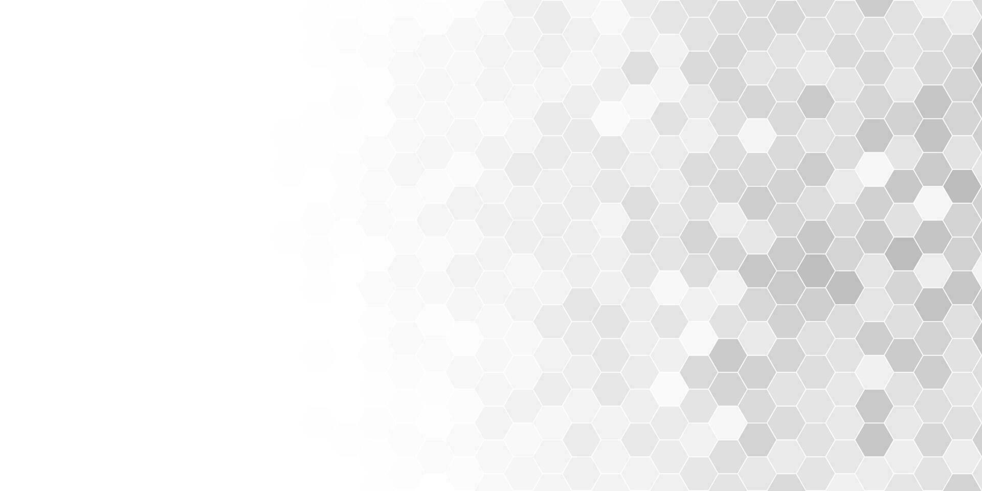 future modern white and grey hexagon background vector