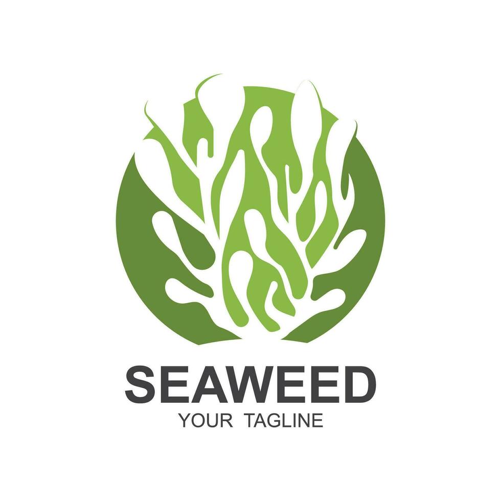 Seaweed Logo Design, Underwater Plant Illustration, Cosmetics And Food Ingredients vector