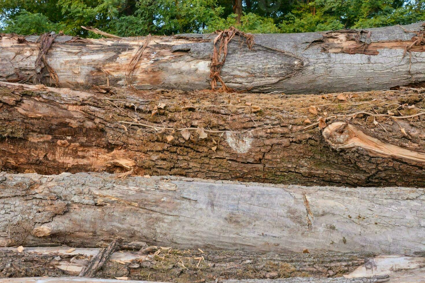 un pila de registros con algunos madera en eso foto