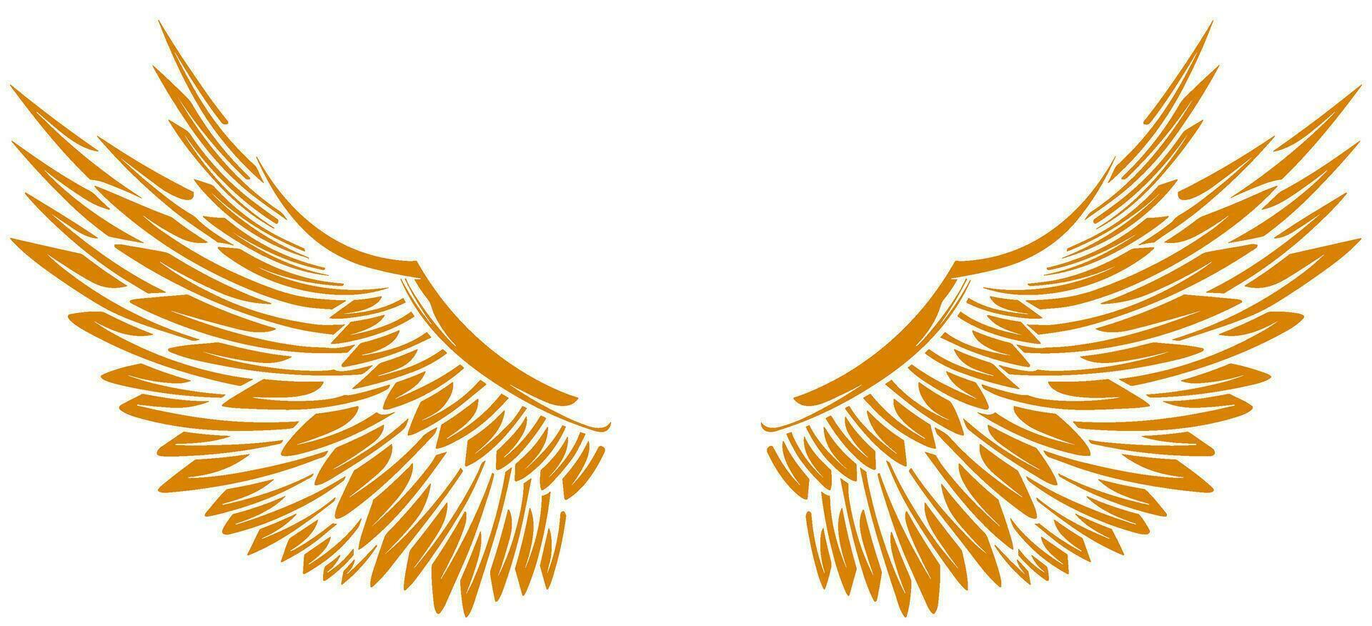 Eagle wings vector design. illustration