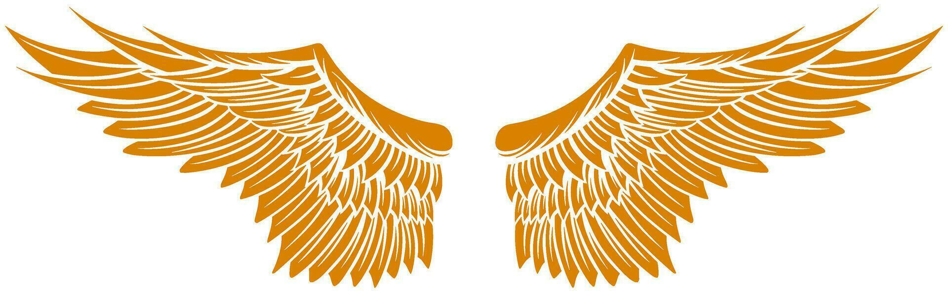 Eagle wings vector design. illustration