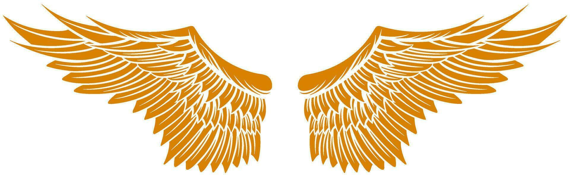 Eagle wings vector design. illustration