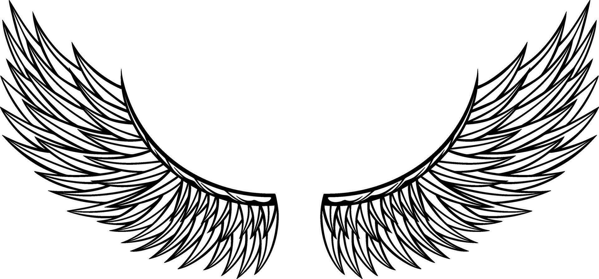 Eagle wings vector design. illustration