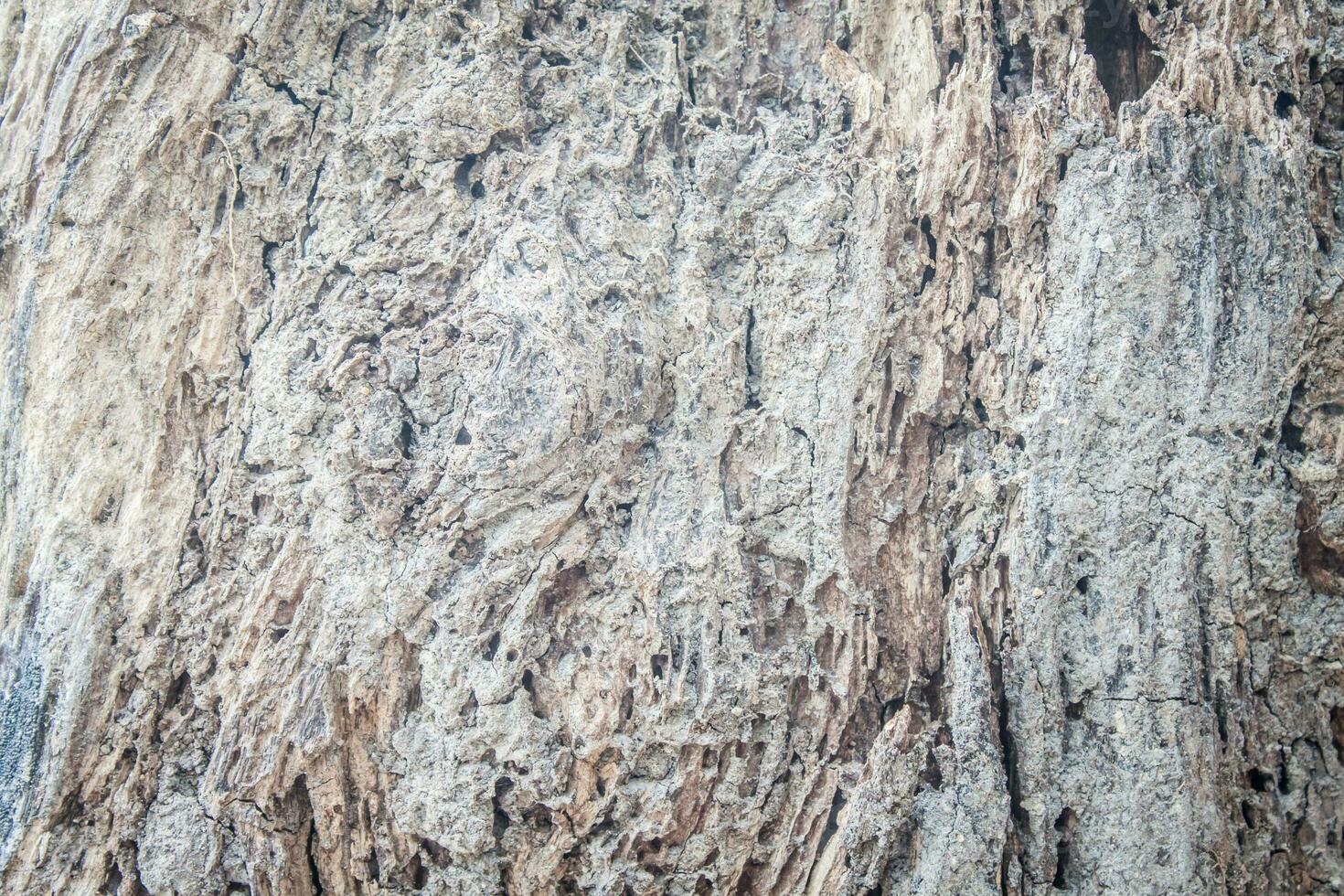 background image Theme wood photo