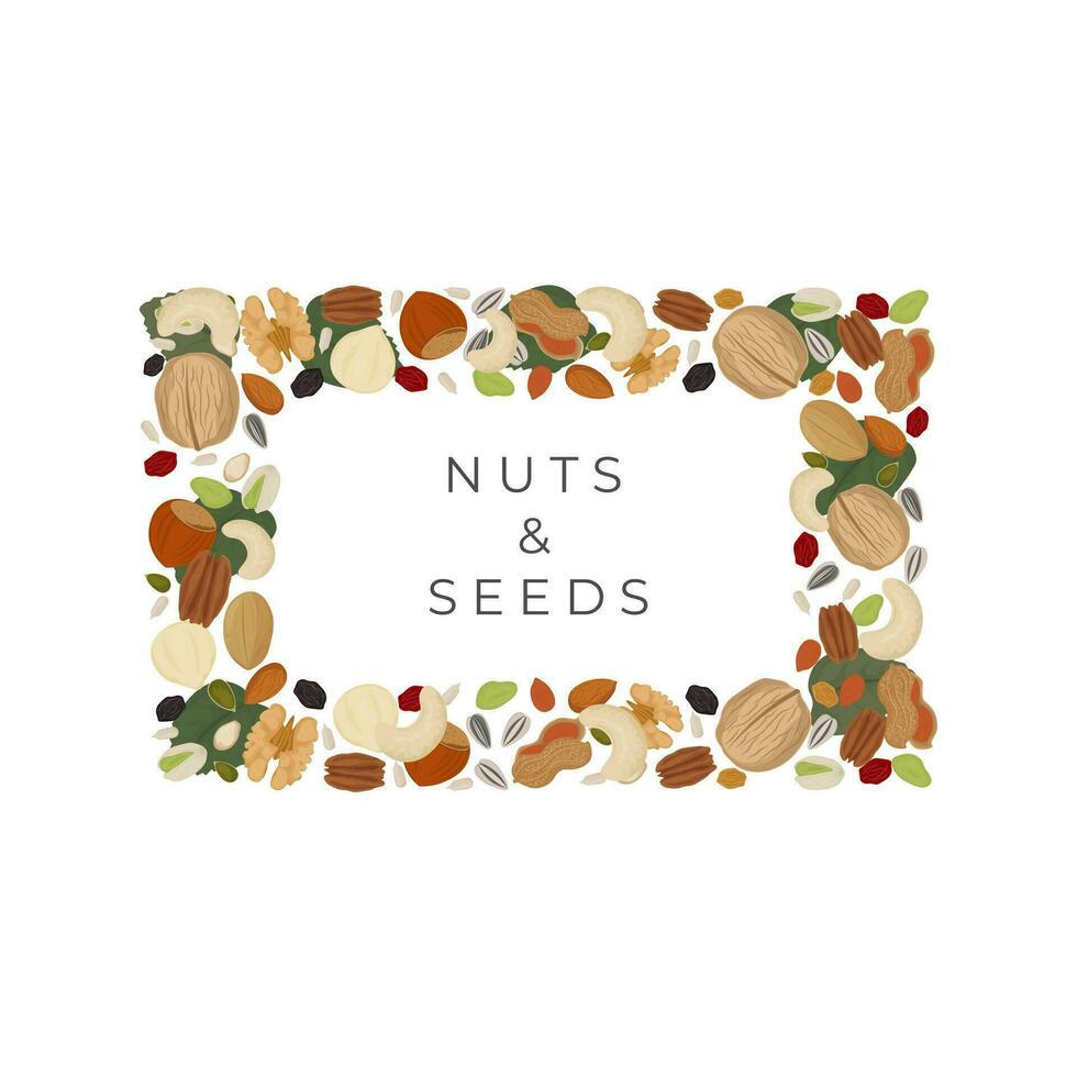 logo illustration dried nuts and seeds square background vector