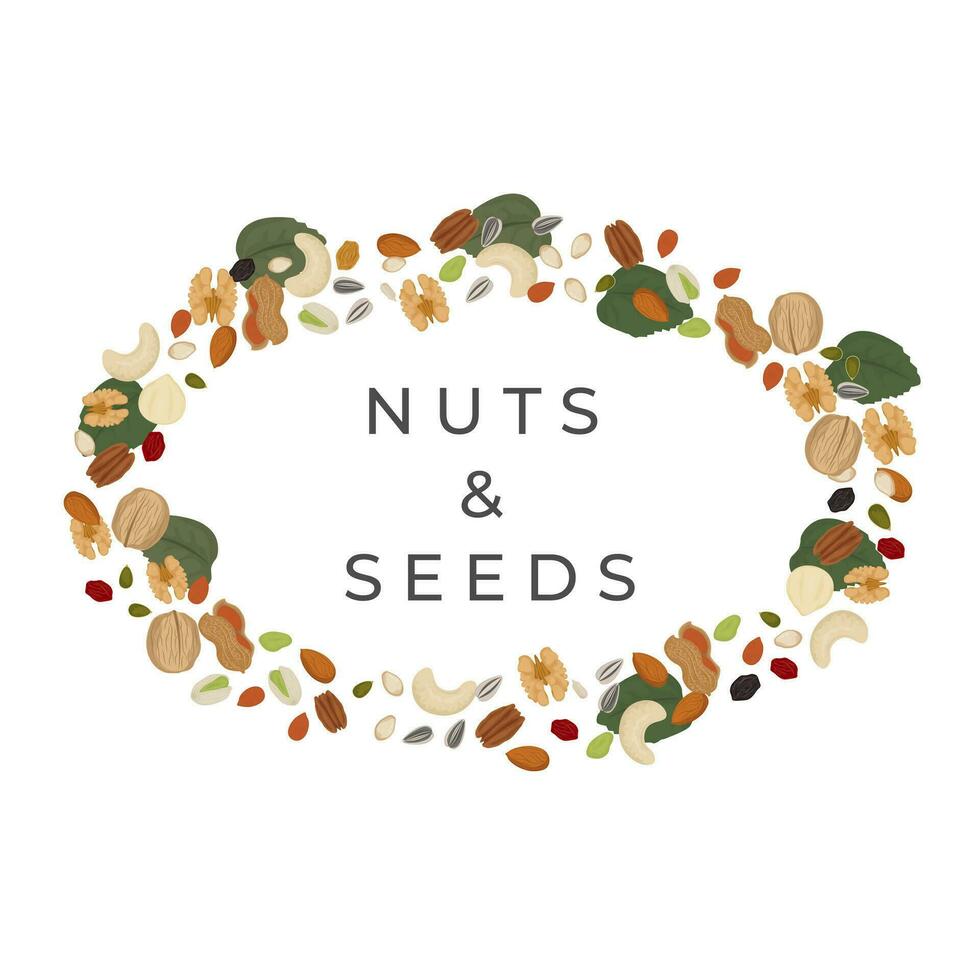 logo illustration of dried nuts and seeds oval background vector