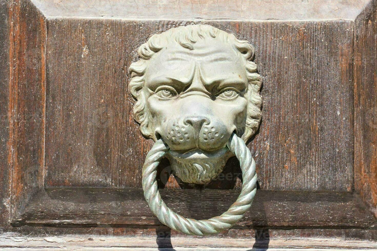 a lion head on a wooden door handle photo