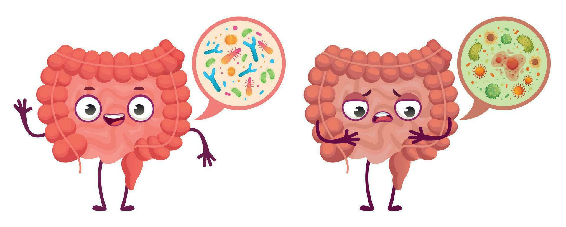 intestinal microflora digestivo sistema cuidado, intestinal bacterias y probióticos dibujos animados vector ilustración