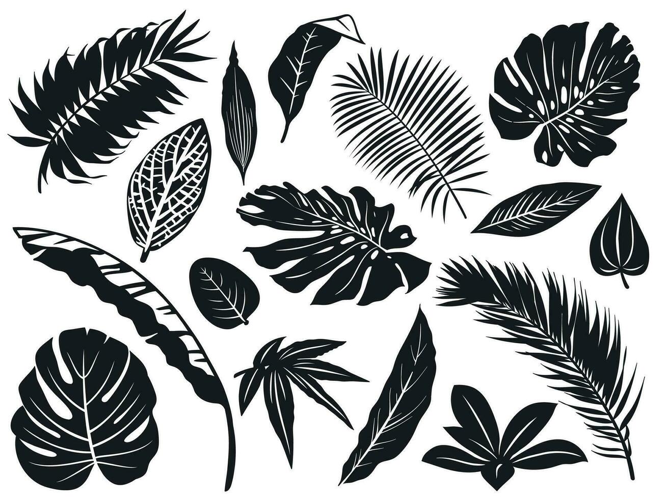 tropical hojas silueta. palma árbol hoja, Coco arboles y monstera hojas negro siluetas vector ilustración conjunto