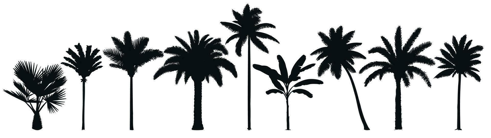 Palm trees silhouette. Retro coconut trees, hand drawn tropical palm silhouettes vector set
