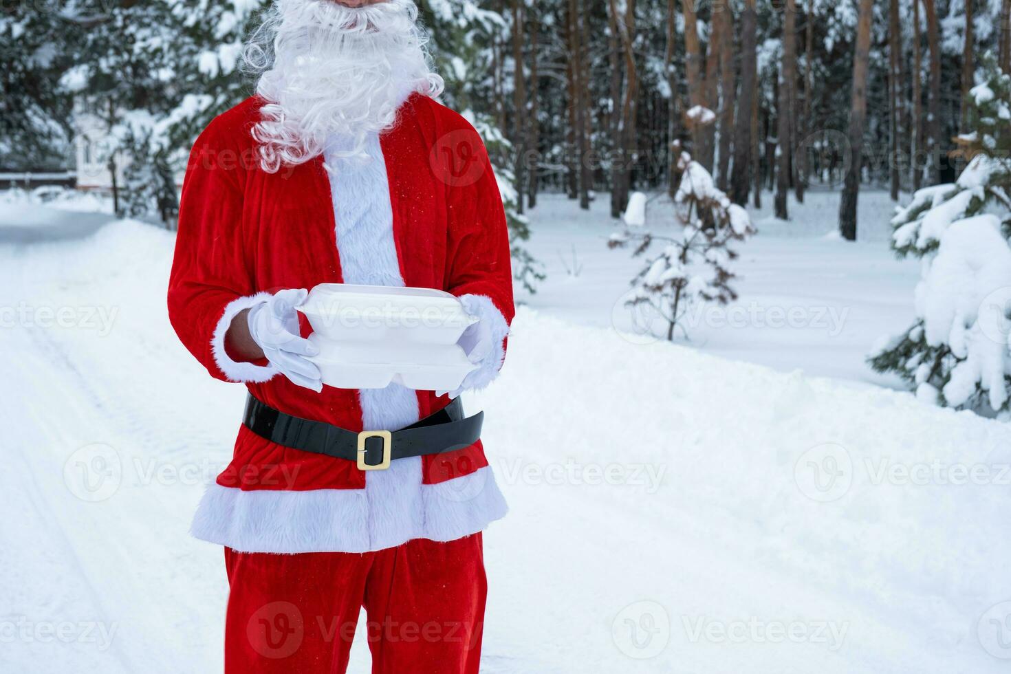 contenedores de servicio de entrega de alimentos en manos de santa claus al aire libre en la nieve. promoción de nochebuena. Pedido caliente listo para usar, caja de plástico desechable. catering de vacaciones de año nuevo. copia espacio, maqueta foto