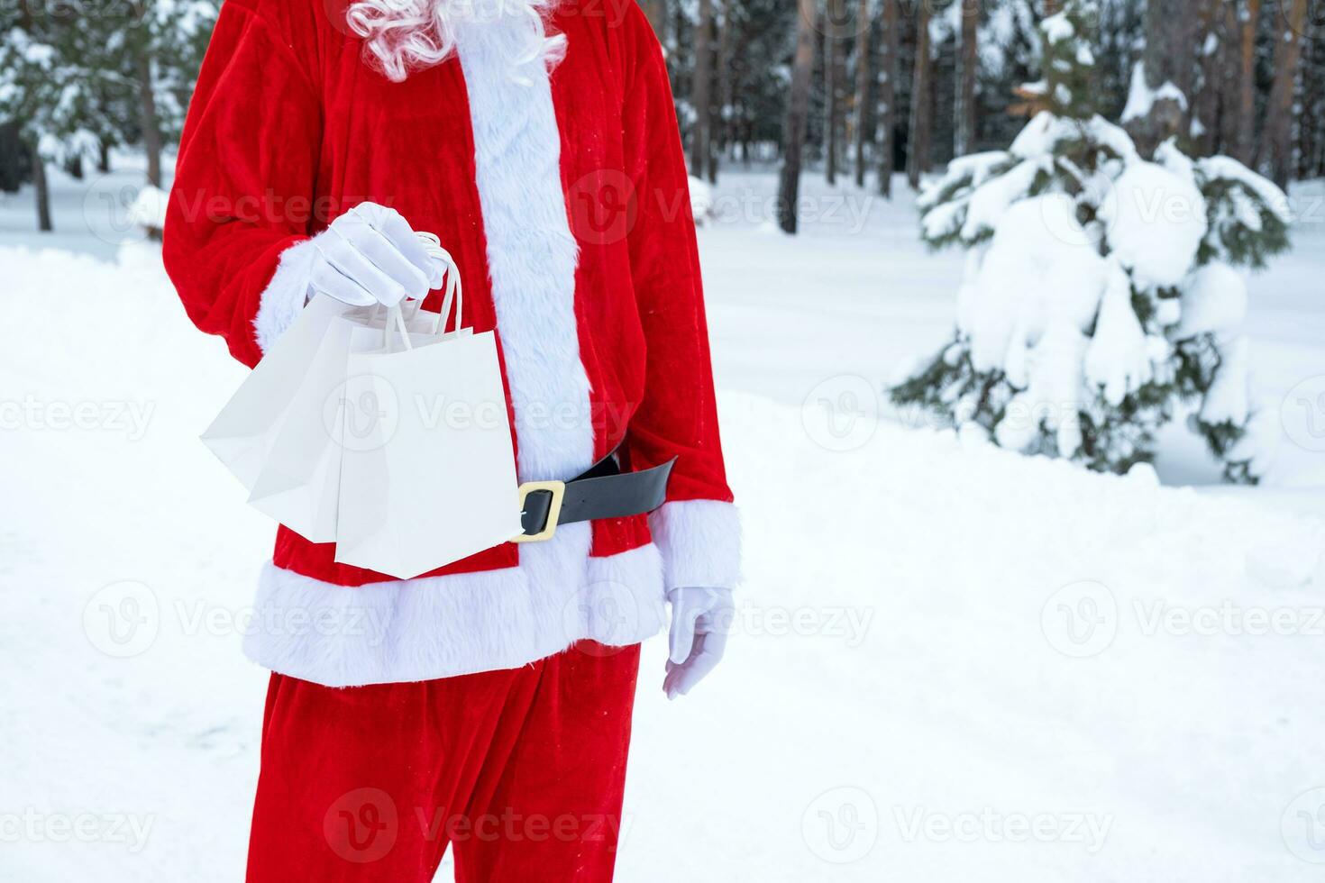 Santa Claus outdoor in winter and snow handing in hand paper bags with craft gift, food delivery. Shopping, packaging recycling, handmade, delivery for Christmas and New year photo