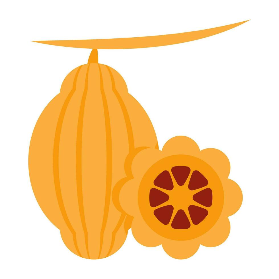A flat design icon of star fruit vector