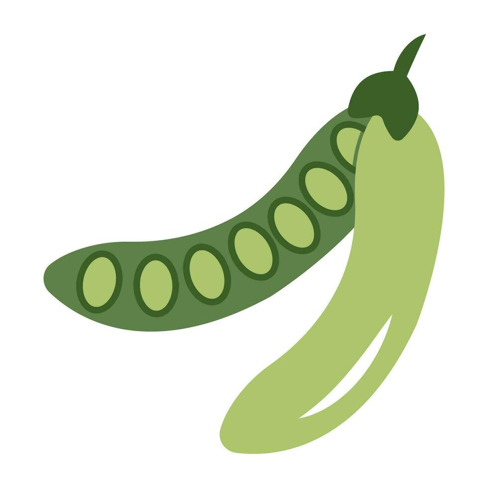 Premium design icon of pea vector