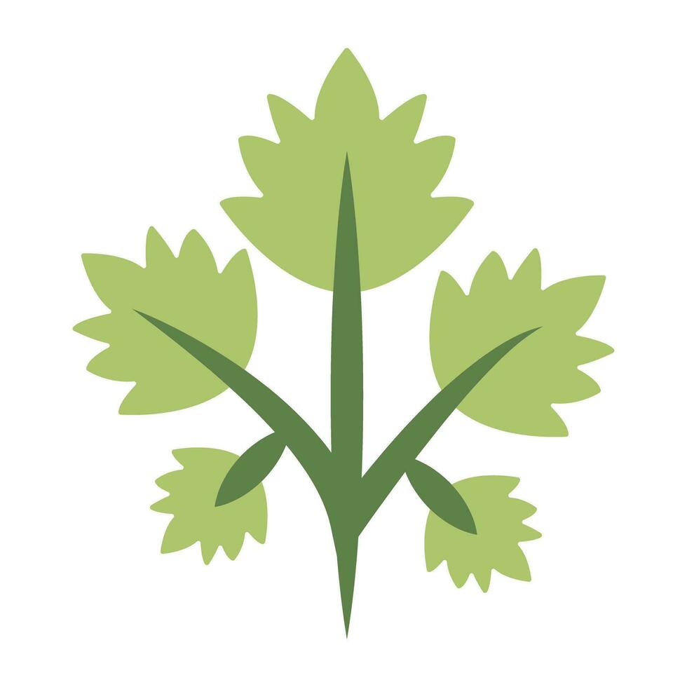 Premium download icon of coriander vector