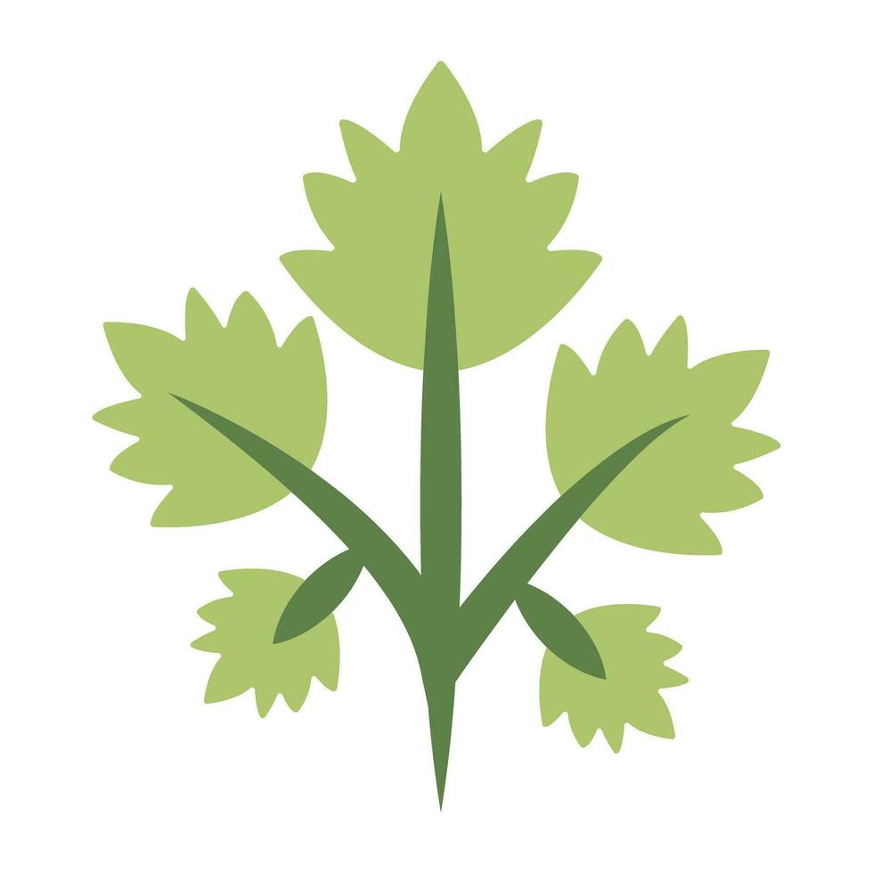 prima descargar icono de cilantro vector