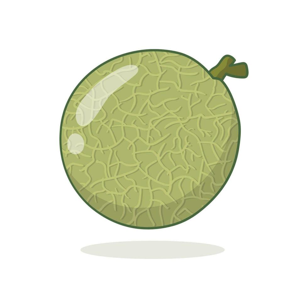 ilustración vector melón en blanco antecedentes