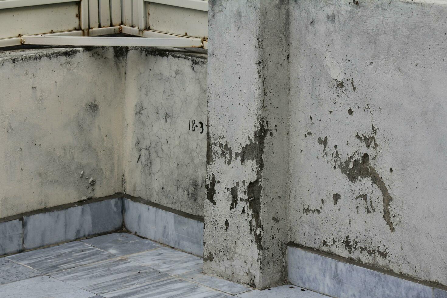 mold. dangerous fungus that needs to be destroyed. It spoils look of house and is very harmful parasite for human health. photo