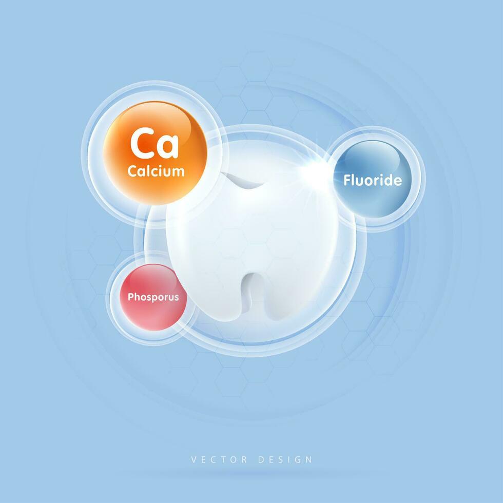 dientes y vitaminas para sano pulmones. vitamina C, mi, b6, California y omega 3. médico comida suplemento conceptos. salud cuidado médico. vector diseño.