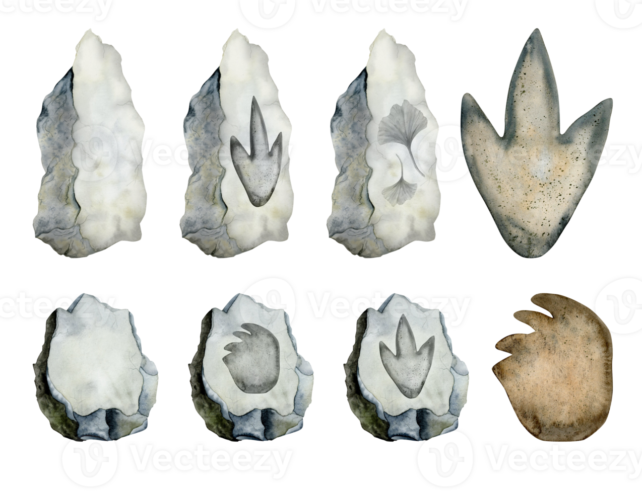 Dinosaurs footprints on grey stones set of watercolor illustrations with paws of Diplodocus and Tyrannosaurus. Hand drawn fossil clipart png