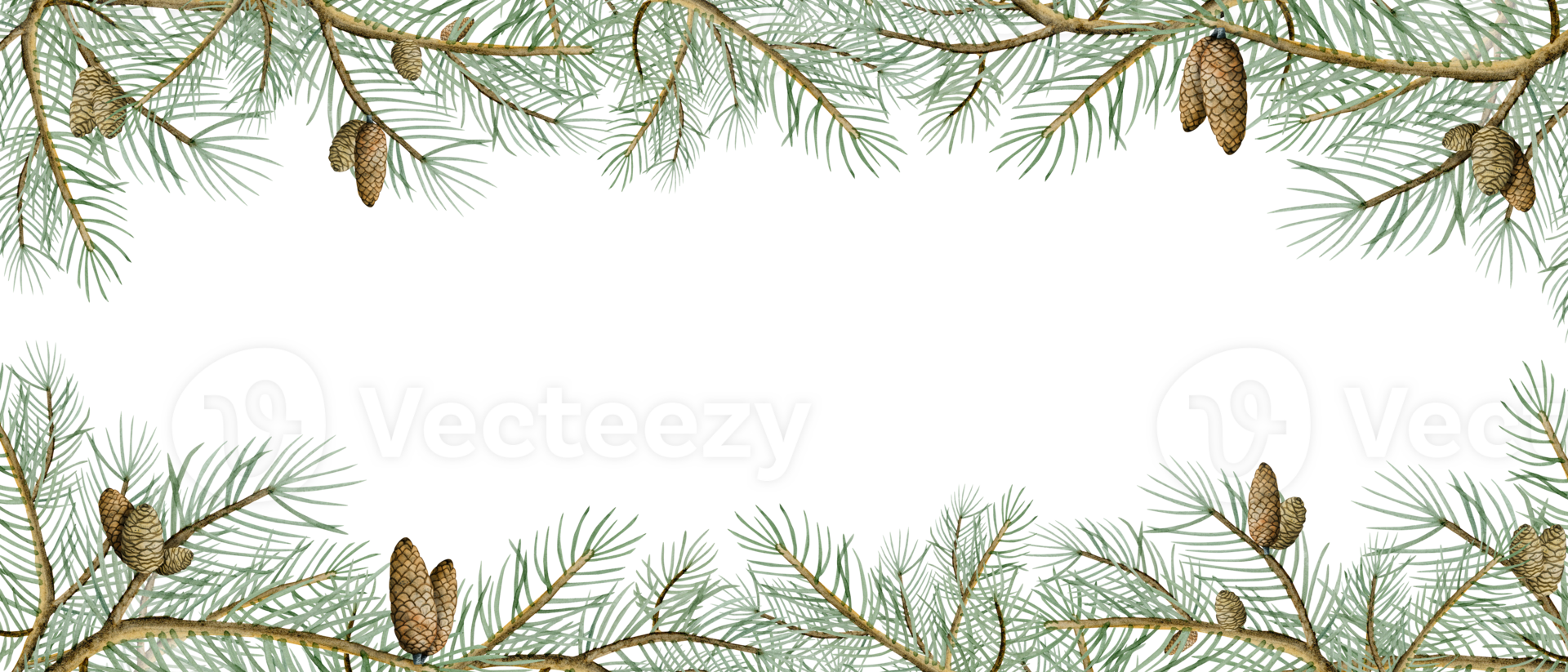 Spruce branches horizontal banner with pine cones for winter and Christmas watercolor illustration. Holiday template png