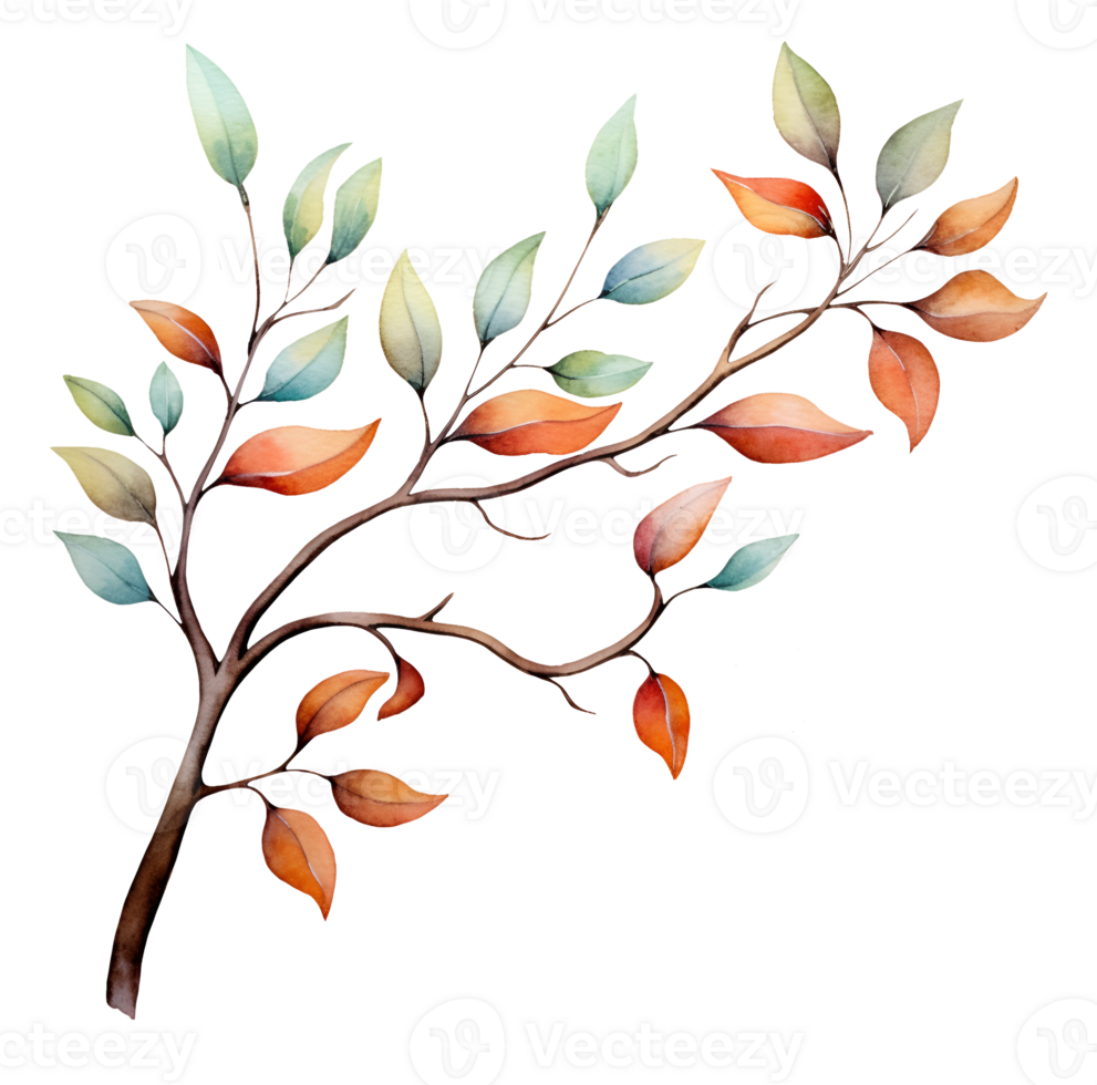 Leaf branch watercolor clipart illustration with isolated background. AI Generative png