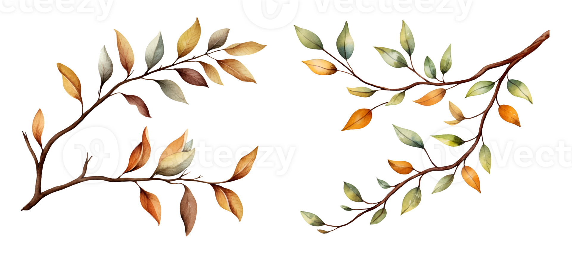 Leaf branch watercolor clipart illustration with isolated background. AI Generative png