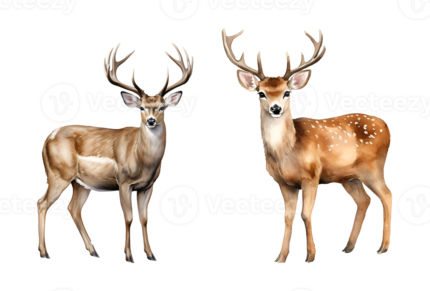 Deer watercolor clipart illustration with isolated background. AI Generative png